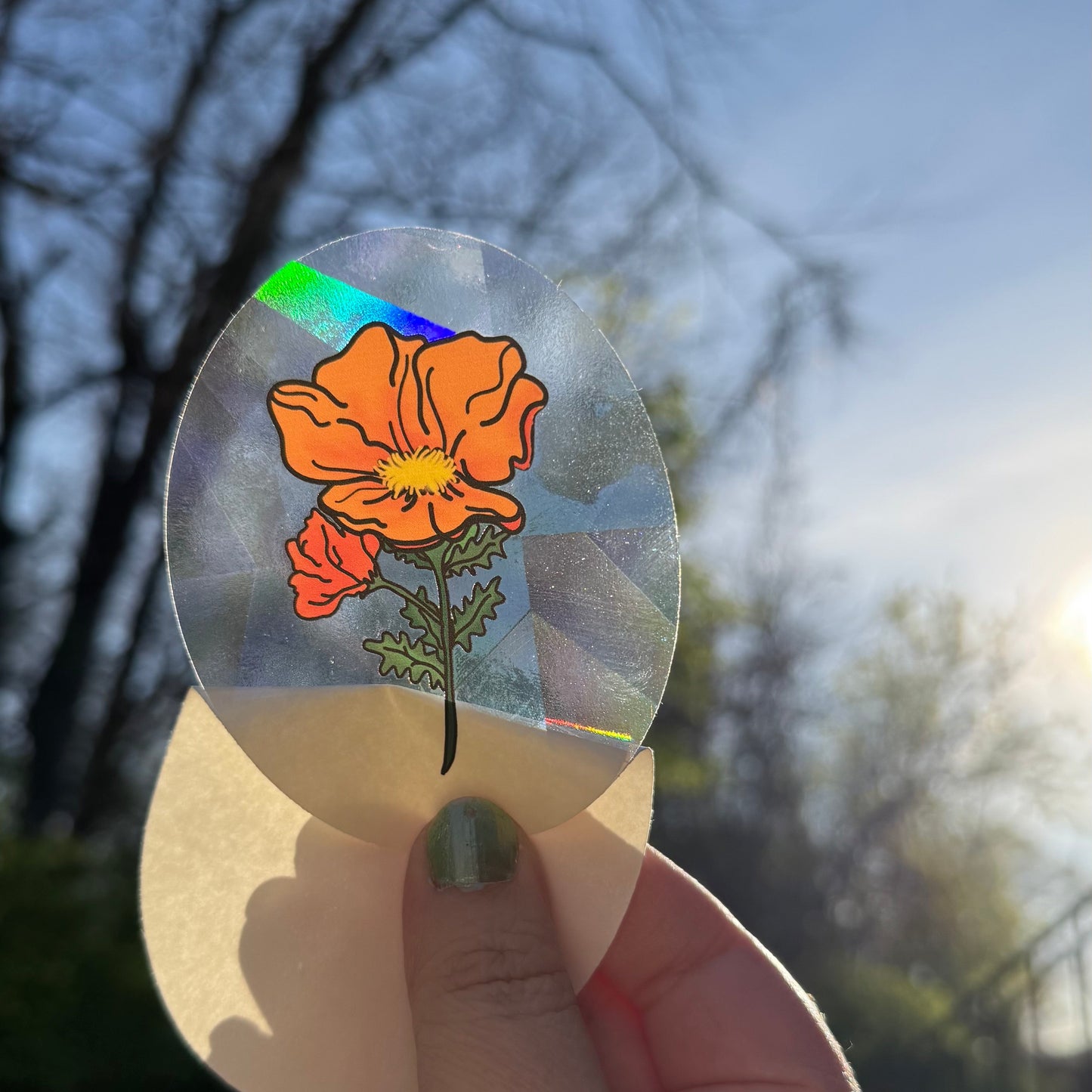Orange Poppy Rainbow Maker - Window Decal Sun Catcher