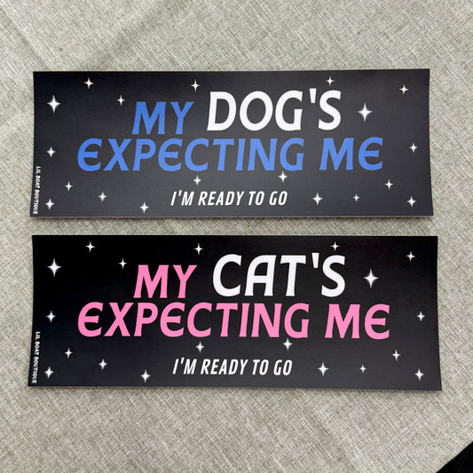 My Cat's Expecting Me (matte) - Bumper Sticker