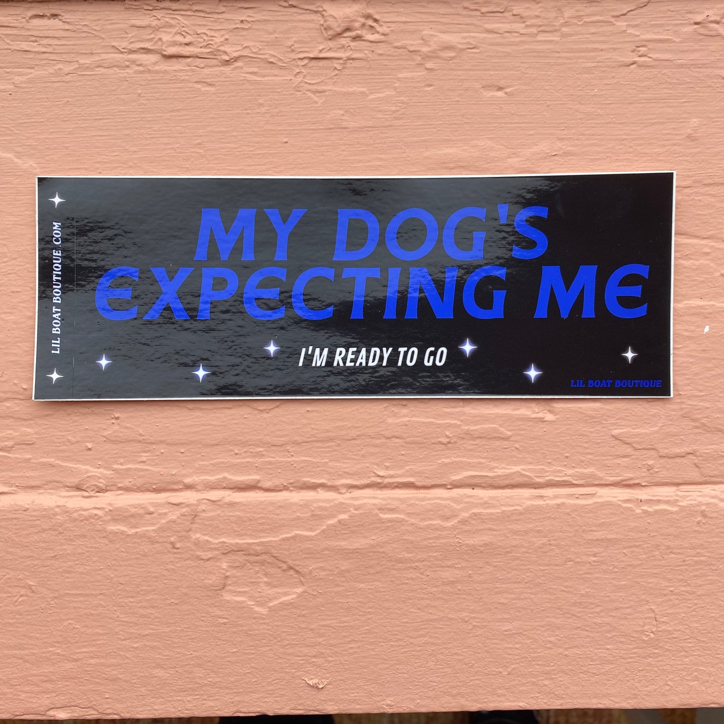 My Dog's Expecting Me - Bumper Sticker - Djo Gloom