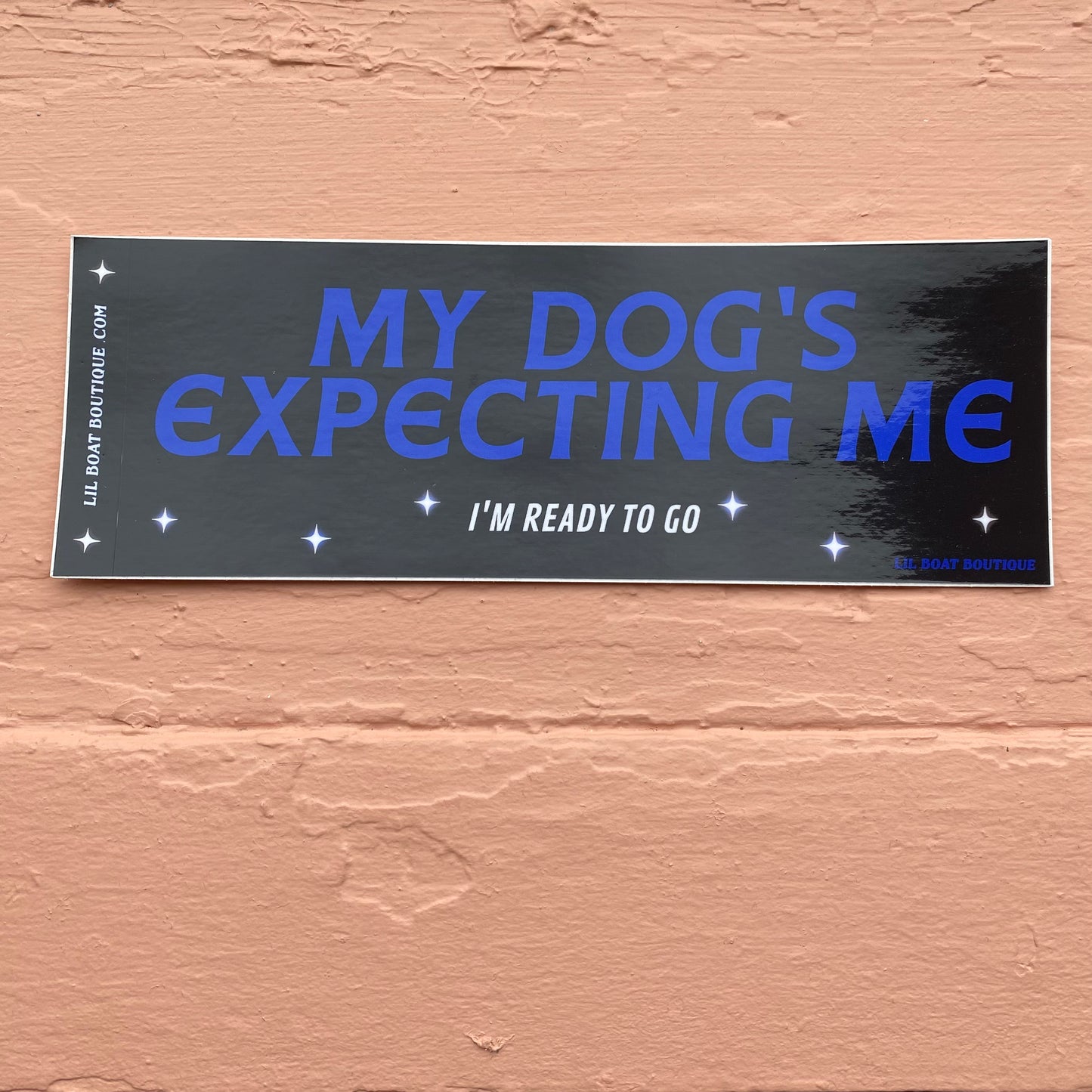My Dog's Expecting Me - Bumper Sticker - Djo Gloom