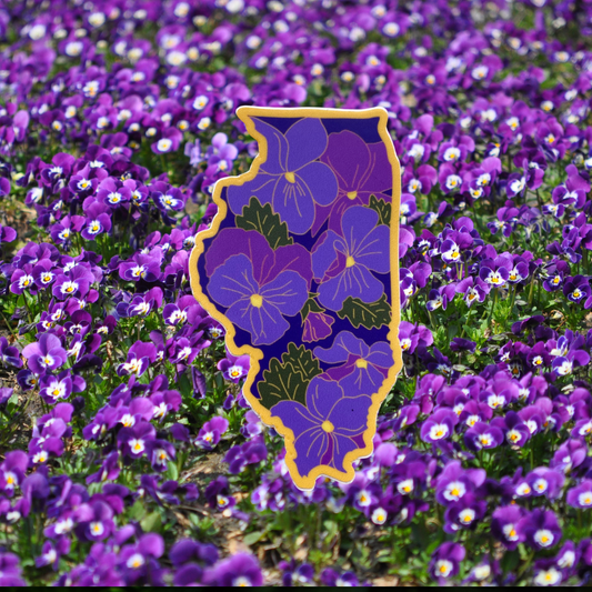 Illinois Violet - Vinyl Sticker