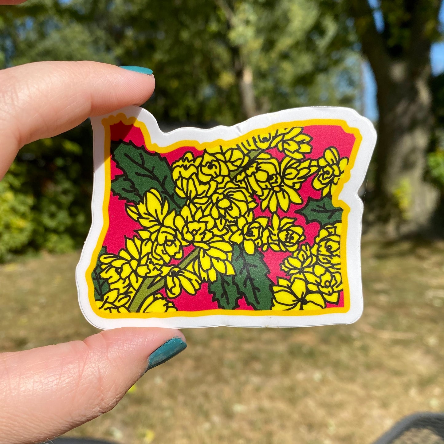 Oregon Grape - Vinyl Sticker - State Flower Series