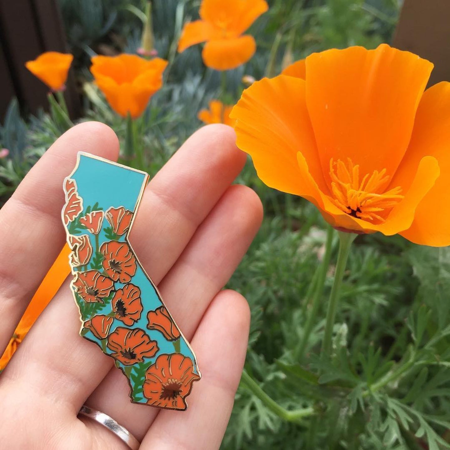 California Poppy Hard Enamel Pin - State Flower Series