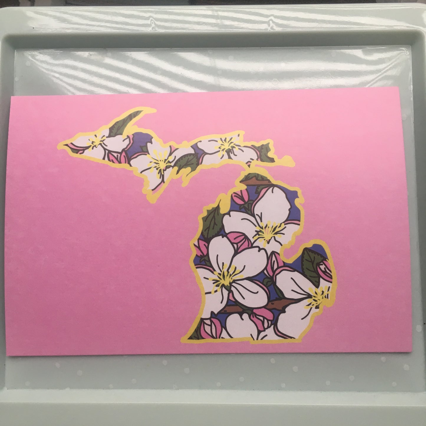 Michigan Apple Blossom - 4 x 6" Print