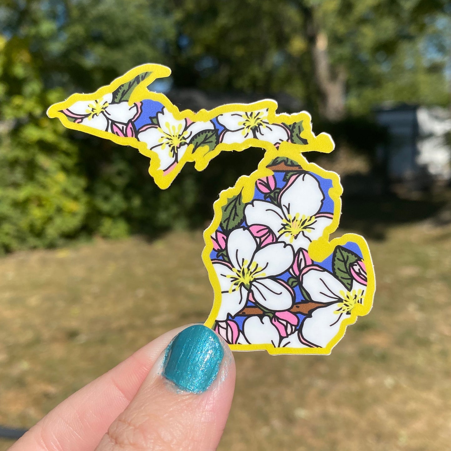 Michigan Apple Blossom- Embroidered Patch - State Flower Series - MI