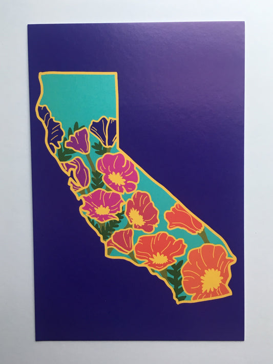 California Poppy SUNSET - 4 x 6" Print - Postcard