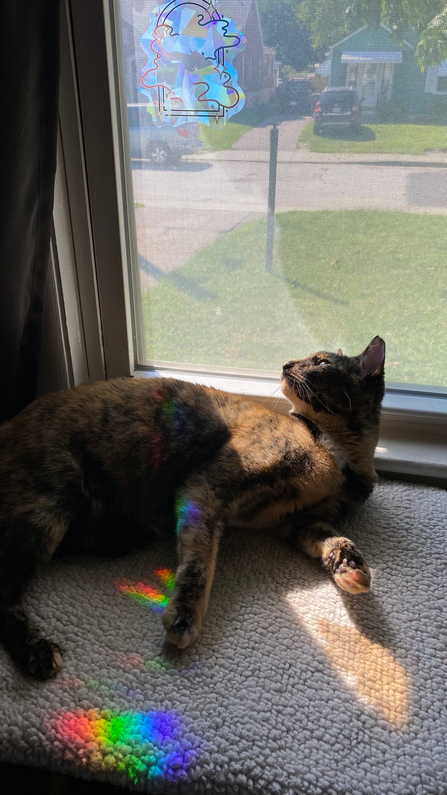 Galaxy Portal Rainbow Maker 5”