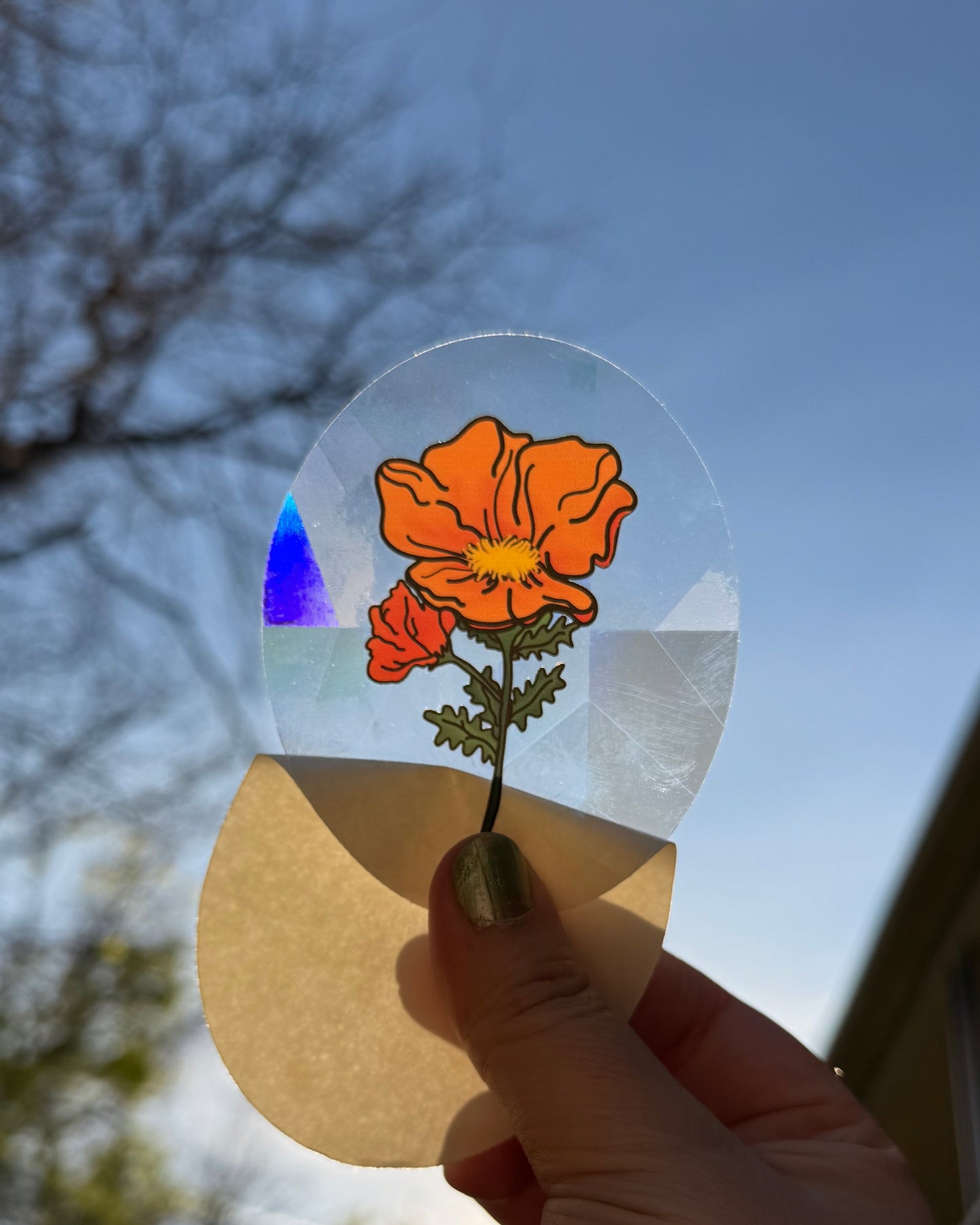 Orange Poppy Rainbow Maker - Window Decal Sun Catcher