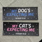 My Cat's Expecting Me (matte) - Bumper Sticker