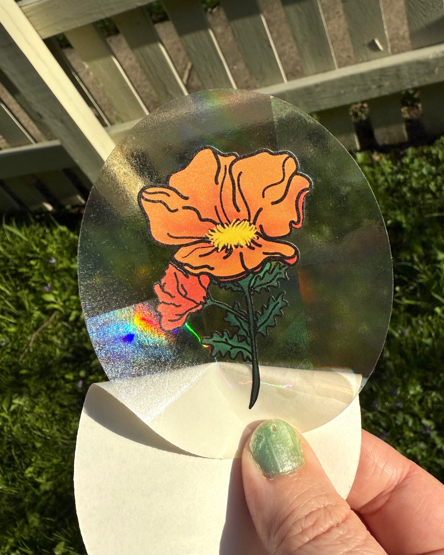 Orange Poppy Rainbow Maker - Window Decal Sun Catcher
