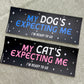 My Cat's Expecting Me (matte) - Bumper Sticker