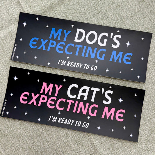 My Cat's Expecting Me (matte) - Bumper Sticker