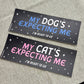 My Cat's Expecting Me (matte) - Bumper Sticker