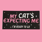 My Cat's Expecting Me Vinyl Sticker