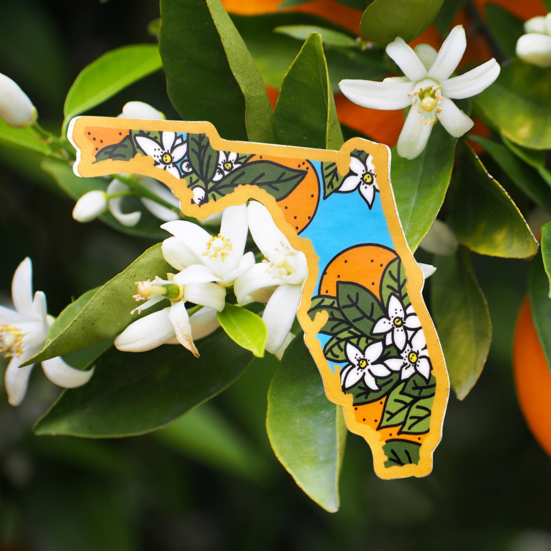 Florida Orange Blossom - Vinyl Sticker - State Flower Series