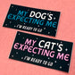 My Cat's Expecting Me Vinyl Sticker