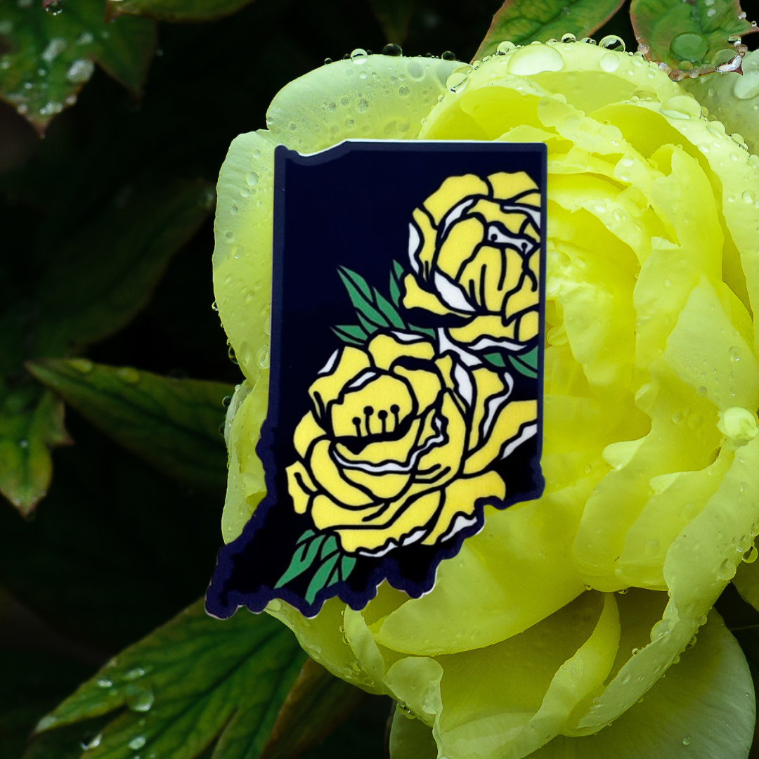 Indiana Peony - Black and Yellow - 3" Vinyl Sticker