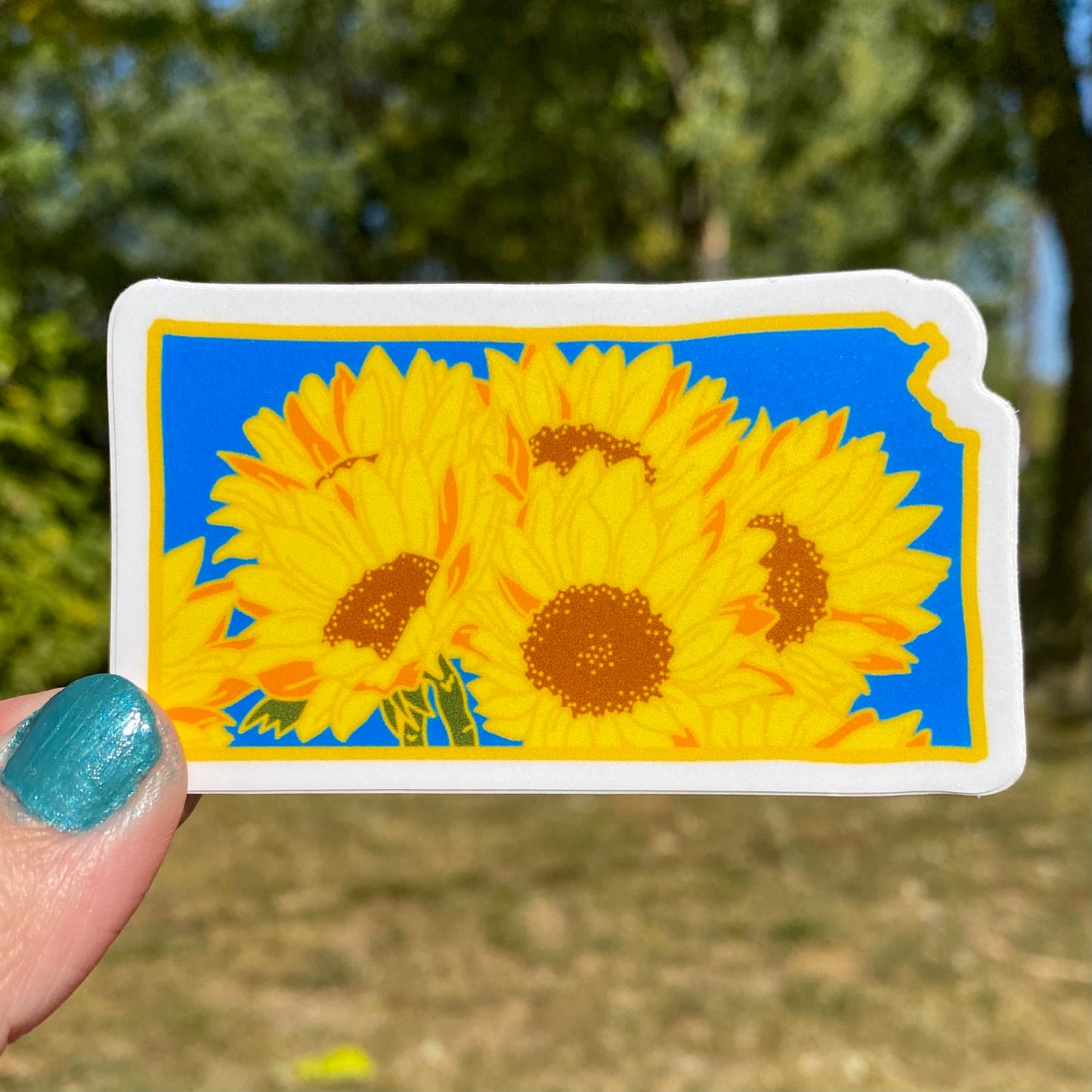 Kansas Sunflower - Vinyl Sticker - State Flower Series