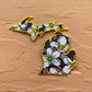 Michigan Apple Blossom- Embroidered Patch - State Flower Series - MI