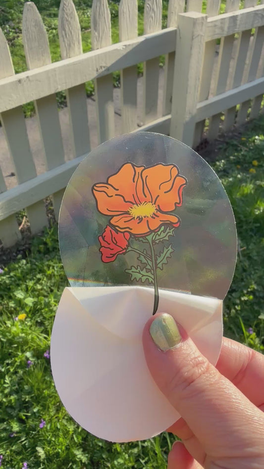 Orange Poppy Rainbow Maker - Window Decal Sun Catcher