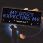 My Dog's Expecting Me - Bumper Sticker - Djo Gloom