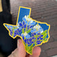 Texas Bluebonnet 3” Decorative Magnet