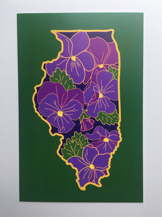 Illinois Violet - 4 x 6" Print - Postcard